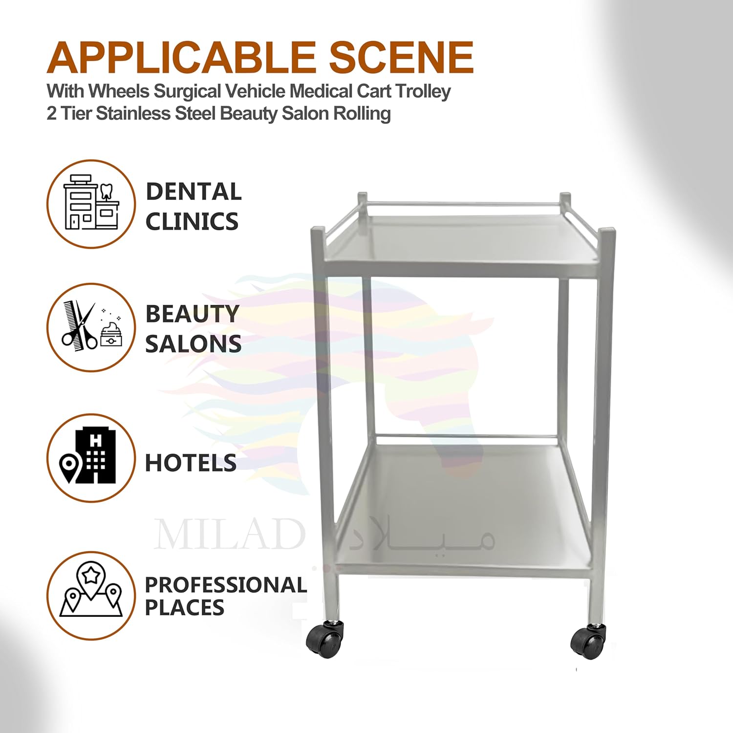 Bigapple Stainless Steel 2 Shelf Medical Instrument Trolley with Bin and drawer (60 L × 40 W × 86 H CM's)