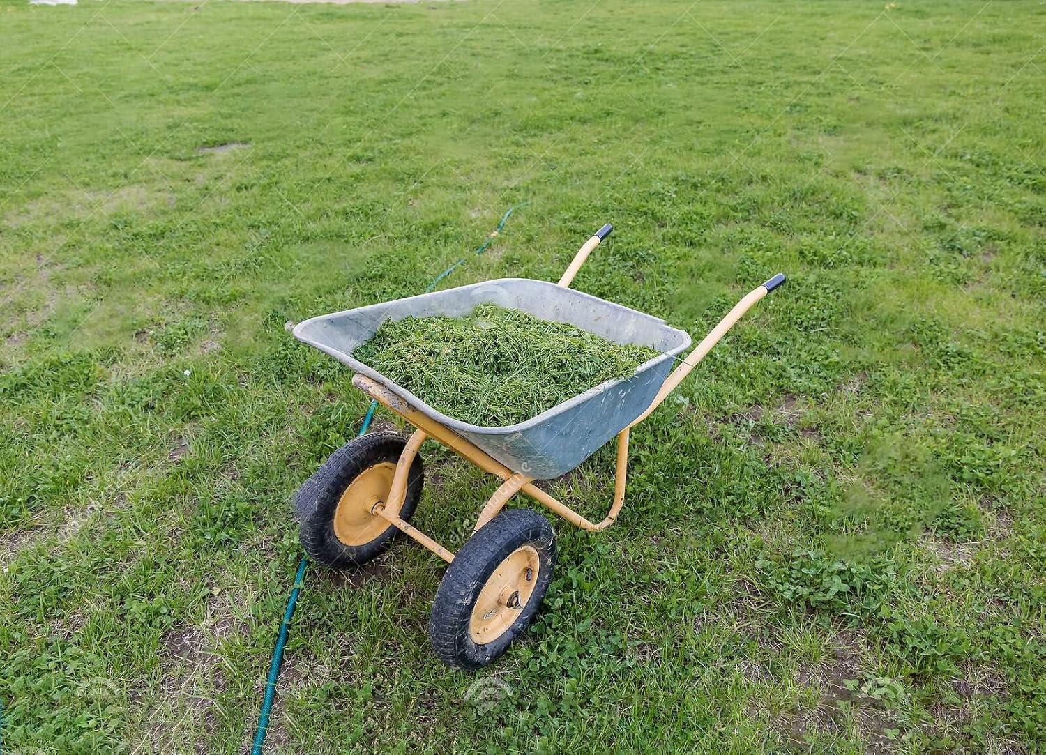 Bigapple Garden Wheel Barrow with 65L Water and 130kg Weight Loading Capacity for use in farm houses, construction sites & Gardening, etc. - comes with 2 Wheels